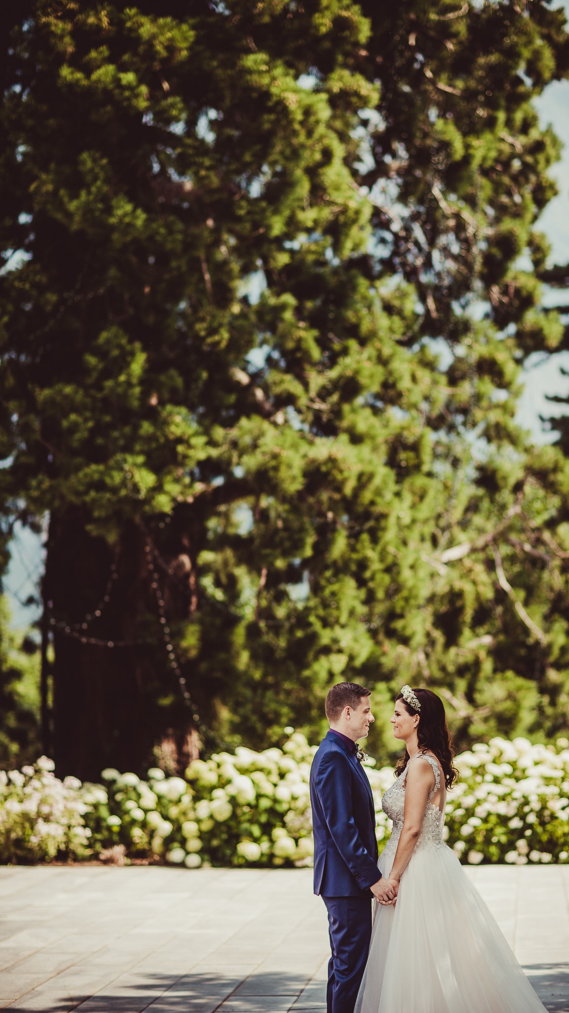 Export x3 1DX 8925 Hochzeit 2015 Isabelle & Renato